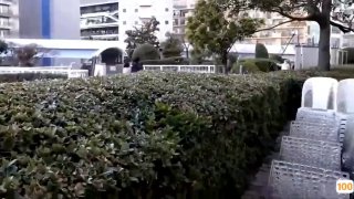 初恋 晴道与野英的性爱特辑